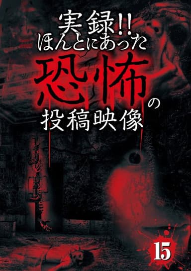 Actual Record! Real Horror Posted Video 15 poster