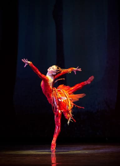 Miami City Ballet's The Firebird poster