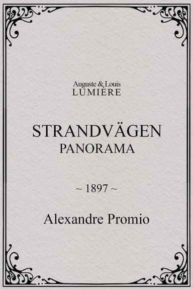 Strandvägen : panorama poster