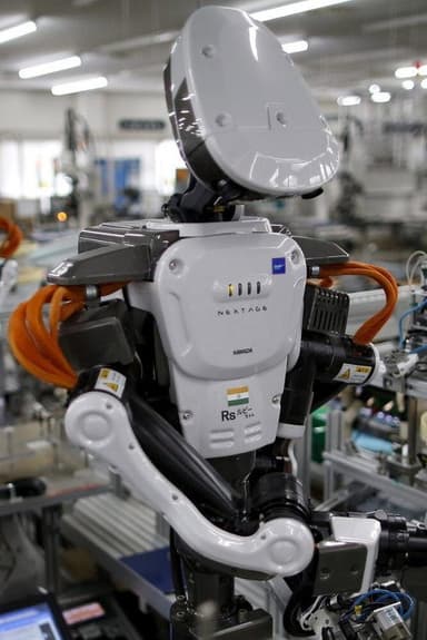 Will a Robot Steal My Job? poster
