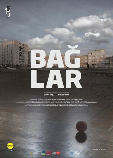 Baglar poster