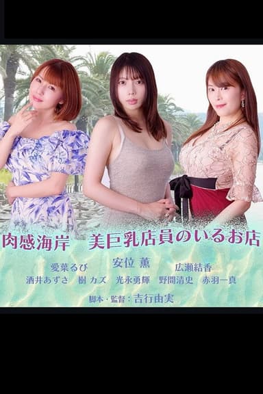 Nikuka Coast: A Shop With Beautiful Busty Staff poster