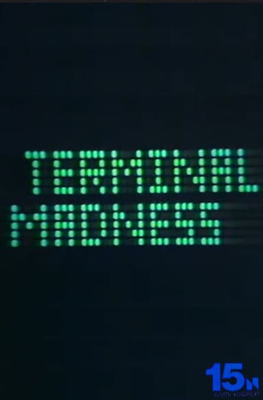 Terminal Madness poster