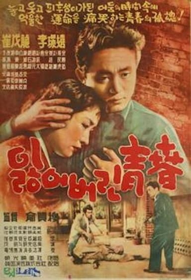 The Lost Youth poster