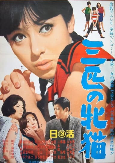 Three Wild Cats poster