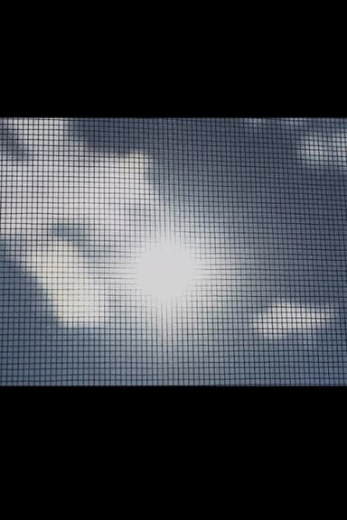 A Study In Meshes poster