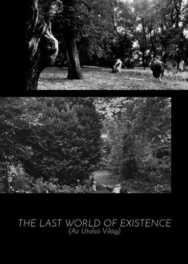The Last World Of Existence poster