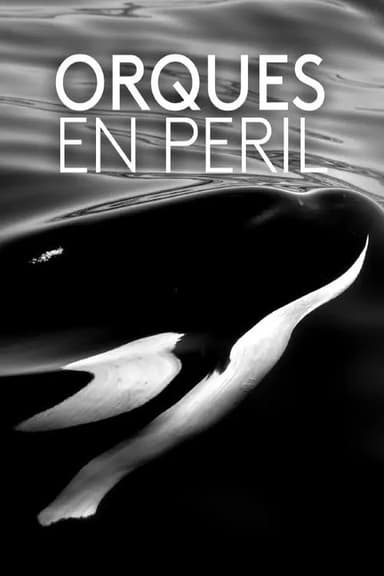 Orques en péril poster