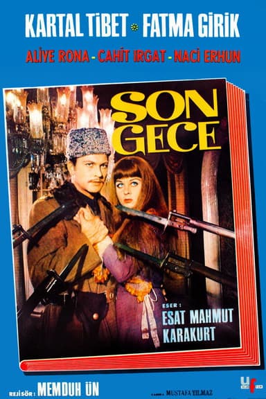 Son Gece poster