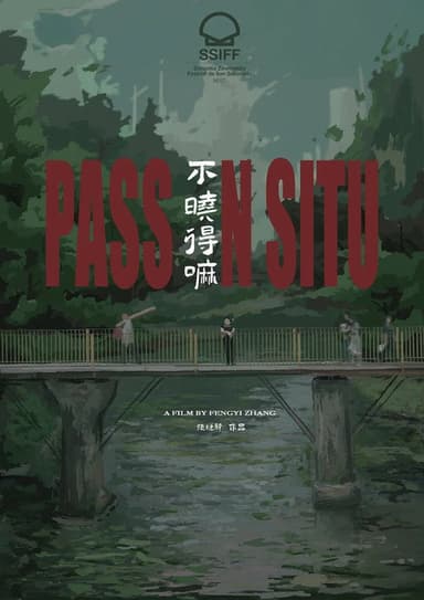 Pass in Situ poster
