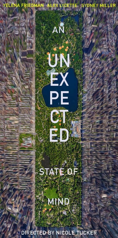 An Unexpected State of Mind poster