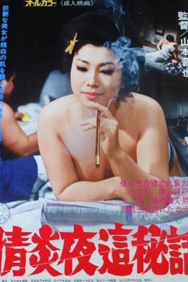 Passionate Night Visit Secret Story poster
