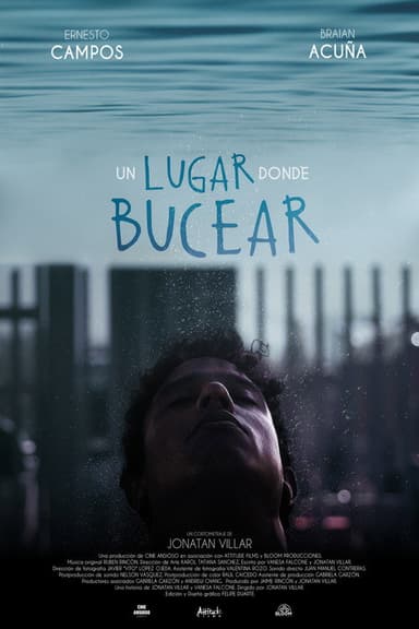A Place to Dive poster