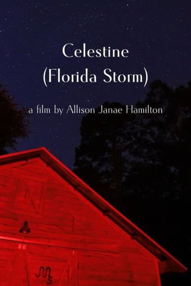 Celestine (Florida Storm) poster