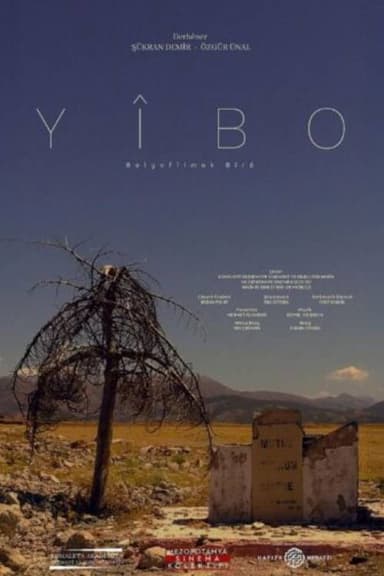 Yîbo poster
