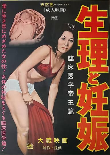 Seiri to ninshin poster