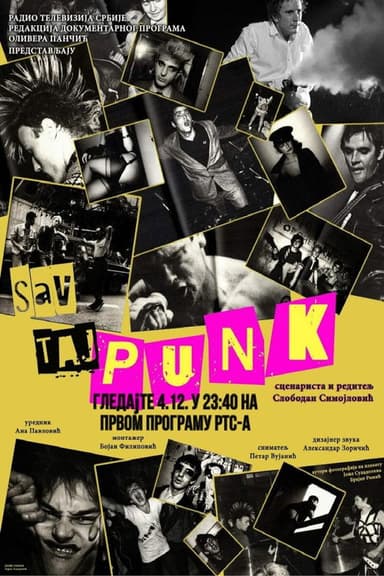 All That Punk poster