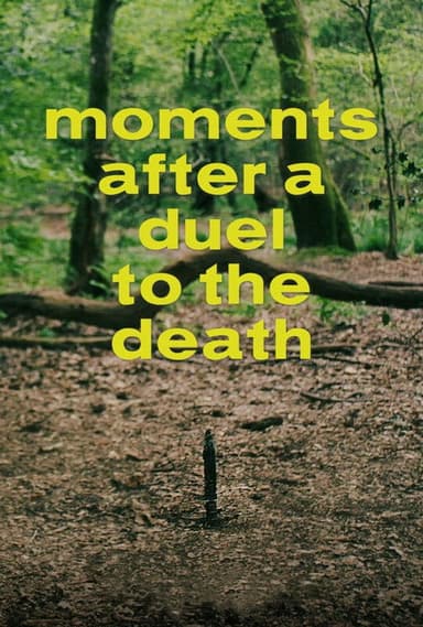 Moments After a Duel to the Death poster