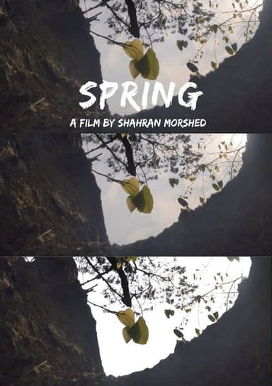 Spring poster