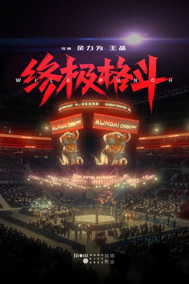 Wild Punch poster