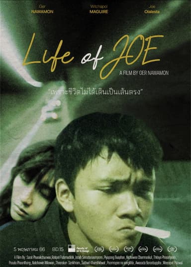 Life of Joe poster