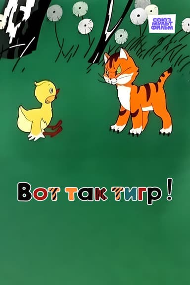 What a Tiger! poster