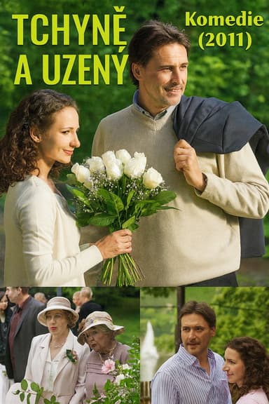 Tchyně a uzený poster