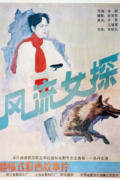 风流女探 poster