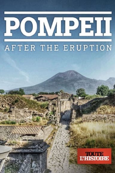 Pompéi : après l'éruption poster