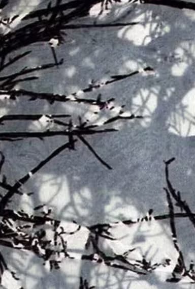 Variations sur Marilou poster