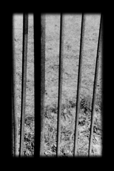 Railings poster