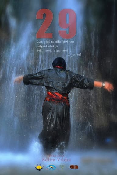29 poster