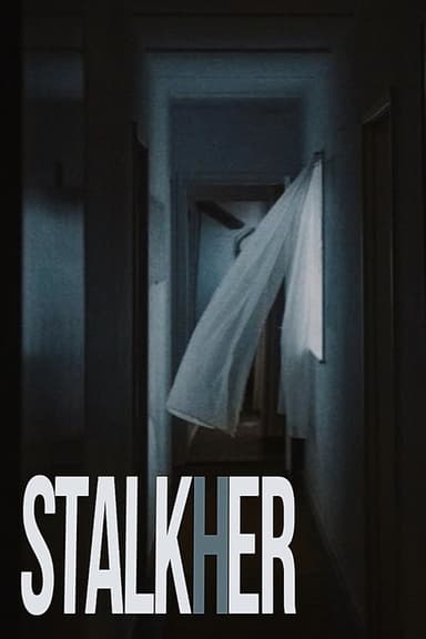 STALKHER poster