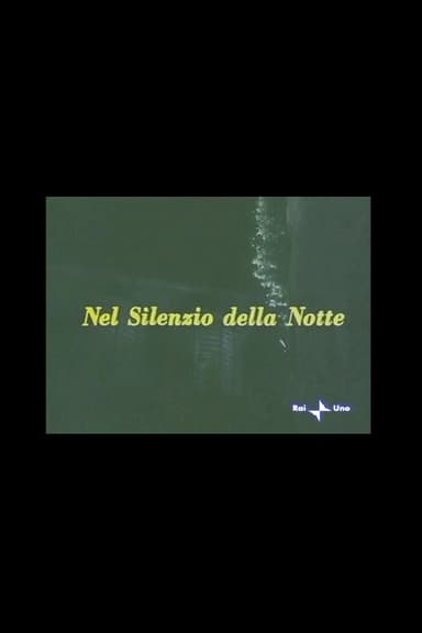 Nel silenzio della notte poster