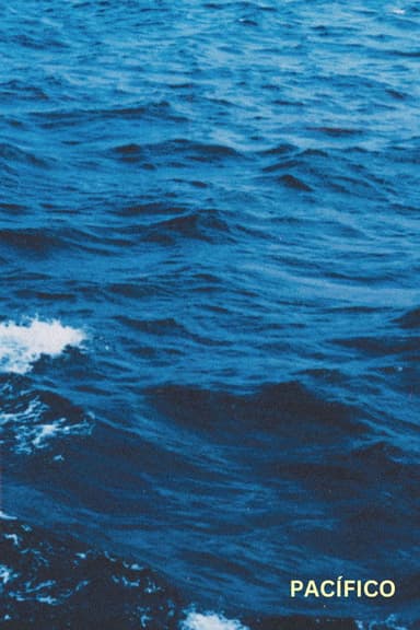 Pacific poster