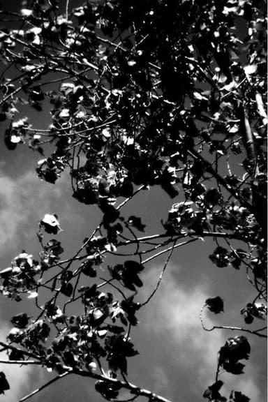 The Wind That Held Us Here poster