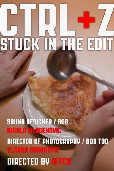 CTRL+Z Stuck in the Edit poster