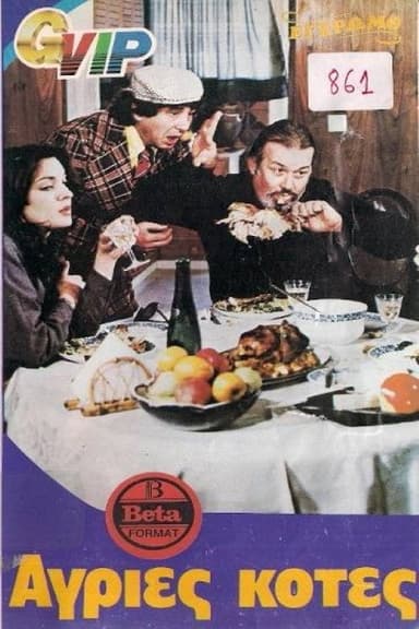 Wild Chickens poster