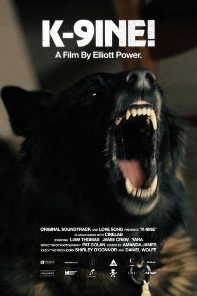 K-9INE! poster