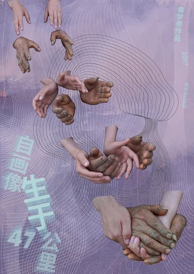 Self Portrait: Birth in 47 KM poster