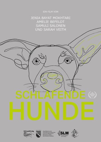 Schlafende Hunde poster