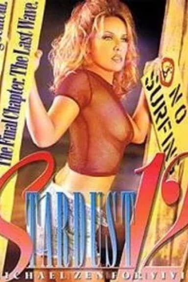 Stardust 12 poster