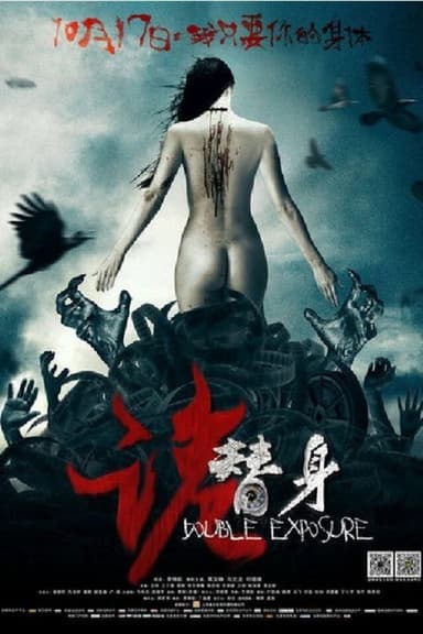 The Stunt Double poster