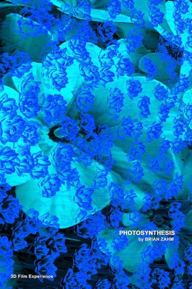 Photosynthesis poster