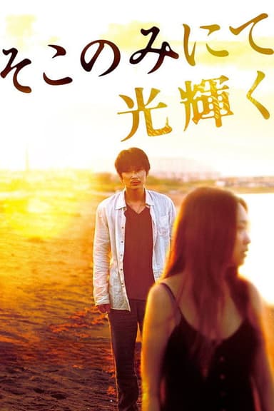 The Light Shines Only There poster