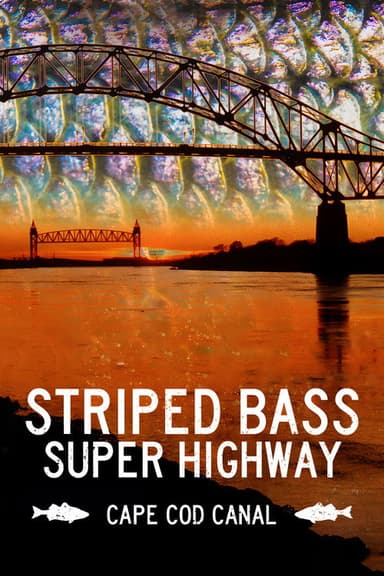 Striped Bass Super Highway: Cape Cod Canal poster