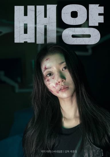 Culture poster