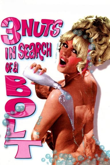 3 Nuts in Search of a Bolt poster
