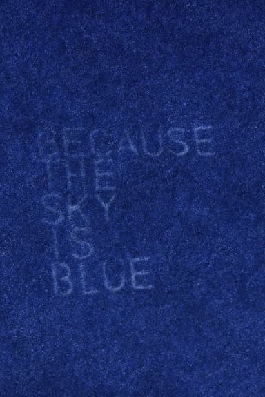 Because the Sky Is Blue poster