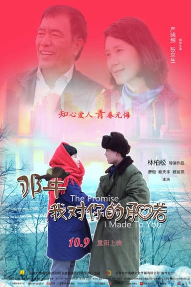 那年我对你的承诺 poster